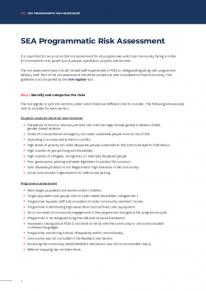 SEA Programmatic Risk Assessment.pdf