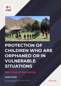 case-study-lesotho-orphans-final-2026.pdf