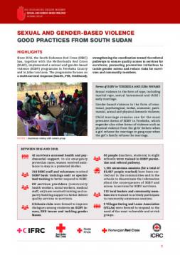 Sexual And Gender-based Violence Good Practice Case Studies South-Sudan ...