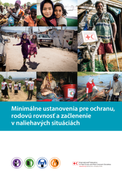 Picture of cover of minimum standards in Slovak