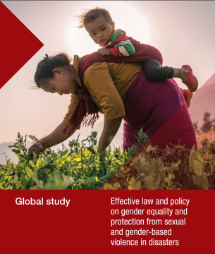 Global study report screenshot