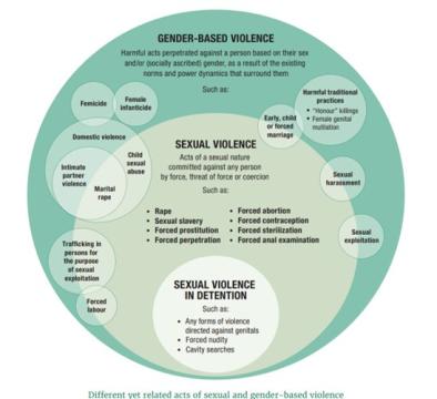 Diagram showing the relationship between gender-based violence and sexual violence, including examples such as domestic violence, sexual exploitation, harmful practices and violence in detention.