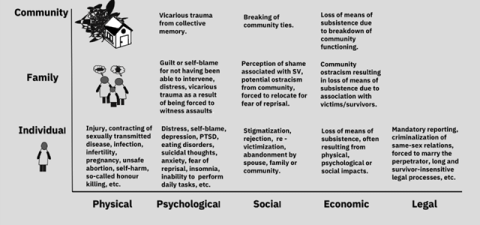 SGBV response