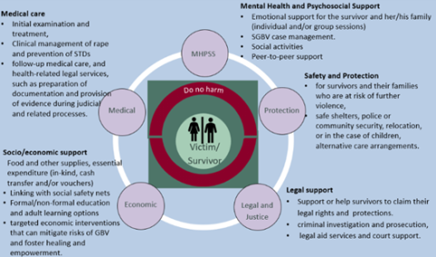 SGBV response survivor needs