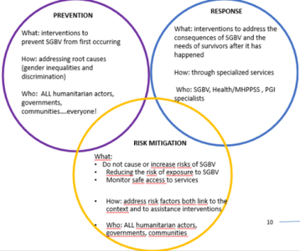 SGBV prevention, response and risk mitigation