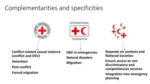 Complementarities when it comes to SGBV work in the Movement