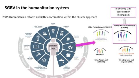 SGBV in the humanitarian system graphic